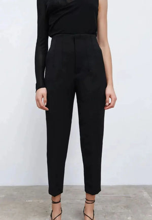 Tailored Pleat High Waist Pants